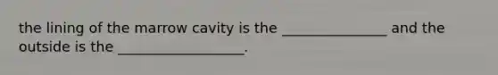 the lining of the marrow cavity is the _______________ and the outside is the __________________.