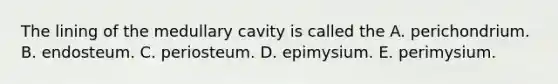 The lining of the medullary cavity is called the A. perichondrium. B. endosteum. C. periosteum. D. epimysium. E. perimysium.