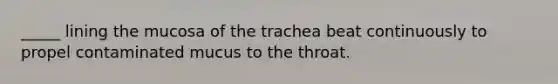 _____ lining the mucosa of the trachea beat continuously to propel contaminated mucus to the throat.