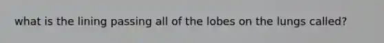 what is the lining passing all of the lobes on the lungs called?