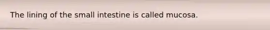 The lining of the small intestine is called mucosa.