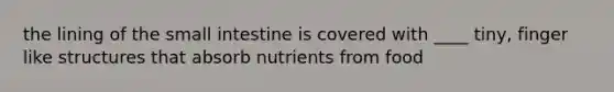 the lining of the small intestine is covered with ____ tiny, finger like structures that absorb nutrients from food