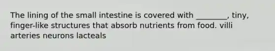 The lining of the small intestine is covered with ________, tiny, finger-like structures that absorb nutrients from food. villi arteries neurons lacteals