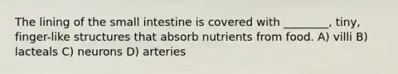 The lining of the small intestine is covered with ________, tiny, finger-like structures that absorb nutrients from food. A) villi B) lacteals C) neurons D) arteries