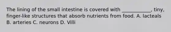 The lining of the small intestine is covered with ____________, tiny, finger-like structures that absorb nutrients from food. A. lacteals B. arteries C. neurons D. Villi