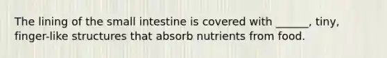 The lining of the small intestine is covered with ______, tiny, finger-like structures that absorb nutrients from food.