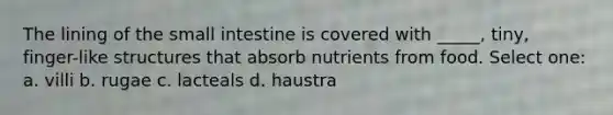 The lining of the small intestine is covered with _____, tiny, finger-like structures that absorb nutrients from food. Select one: a. villi b. rugae c. lacteals d. haustra