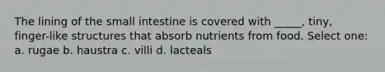 The lining of the small intestine is covered with _____, tiny, finger-like structures that absorb nutrients from food. Select one: a. rugae b. haustra c. villi d. lacteals