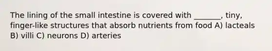 The lining of the small intestine is covered with _______, tiny, finger-like structures that absorb nutrients from food A) lacteals B) villi C) neurons D) arteries