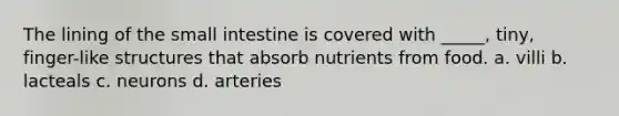 The lining of the small intestine is covered with _____, tiny, finger-like structures that absorb nutrients from food. a. villi b. lacteals c. neurons d. arteries