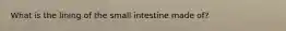 What is the lining of the small intestine made of?