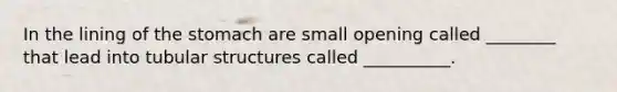 In the lining of <a href='https://www.questionai.com/knowledge/kLccSGjkt8-the-stomach' class='anchor-knowledge'>the stomach</a> are small opening called ________ that lead into tubular structures called __________.