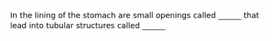 In the lining of the stomach are small openings called ______ that lead into tubular structures called ______