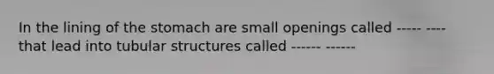 In the lining of the stomach are small openings called ----- ---- that lead into tubular structures called ------ ------