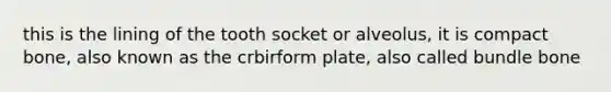 this is the lining of the tooth socket or alveolus, it is compact bone, also known as the crbirform plate, also called bundle bone