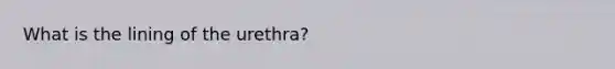 What is the lining of the urethra?