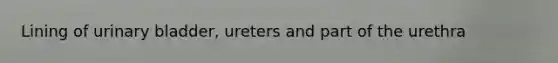 Lining of <a href='https://www.questionai.com/knowledge/kb9SdfFdD9-urinary-bladder' class='anchor-knowledge'>urinary bladder</a>, ureters and part of the urethra