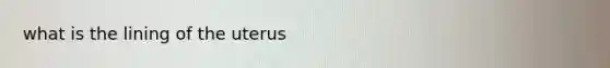 what is the lining of the uterus