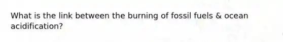 What is the link between the burning of fossil fuels & ocean acidification?