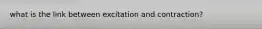 what is the link between excitation and contraction?