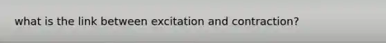 what is the link between excitation and contraction?