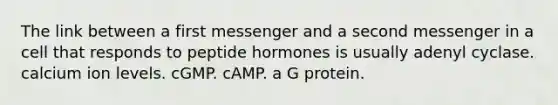 The link between a first messenger and a second messenger in a cell that responds to peptide hormones is usually adenyl cyclase. calcium ion levels. cGMP. cAMP. a G protein.