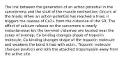 The link between the generation of an action potential in the sarcolemma and the start of the muscle contraction; Occurs at the triads; When an action potential has reached a triad, it triggers the release of Ca2+ from the cisternae of the SR; The effect of calcium release on the sarcomere is nearly instantaneous b/c the terminal cisternae are located near the zones of overlap; Ca binding changes shape of troponin molecule; Ca binding changes shape of the troponin molecule and weakens the bond it had with actin.; Troponin molecule changes position and rolls the attached tropomyosin away from the active site