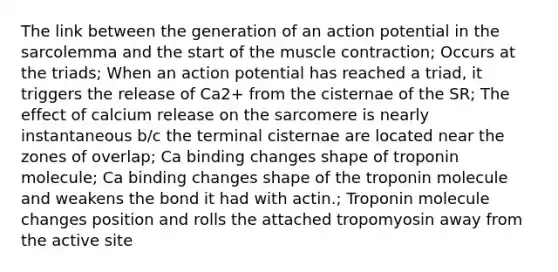 The link between the generation of an action potential in the sarcolemma and the start of the muscle contraction; Occurs at the triads; When an action potential has reached a triad, it triggers the release of Ca2+ from the cisternae of the SR; The effect of calcium release on the sarcomere is nearly instantaneous b/c the terminal cisternae are located near the zones of overlap; Ca binding changes shape of troponin molecule; Ca binding changes shape of the troponin molecule and weakens the bond it had with actin.; Troponin molecule changes position and rolls the attached tropomyosin away from the active site