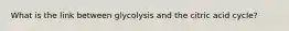 What is the link between glycolysis and the citric acid cycle?