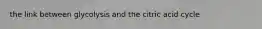 the link between glycolysis and the citric acid cycle