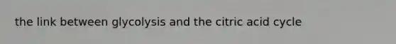 the link between glycolysis and the citric acid cycle