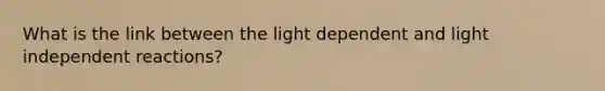 What is the link between the light dependent and light independent reactions?