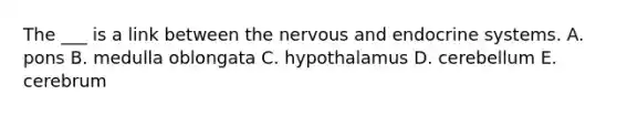 The ___ is a link between the nervous and endocrine systems. A. pons B. medulla oblongata C. hypothalamus D. cerebellum E. cerebrum