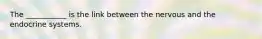 The ___________ is the link between the nervous and the endocrine systems.