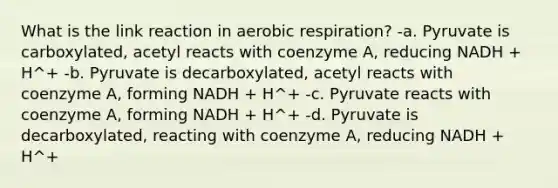 What is the link reaction in aerobic respiration? -a. Pyruvate is carboxylated, acetyl reacts with coenzyme A, reducing NADH + H^+ -b. Pyruvate is decarboxylated, acetyl reacts with coenzyme A, forming NADH + H^+ -c. Pyruvate reacts with coenzyme A, forming NADH + H^+ -d. Pyruvate is decarboxylated, reacting with coenzyme A, reducing NADH + H^+