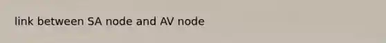 link between SA node and AV node