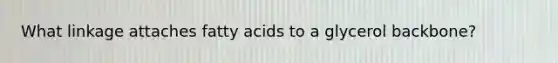 What linkage attaches fatty acids to a glycerol backbone?