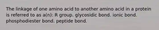 The linkage of one amino acid to another amino acid in a protein is referred to as a(n): R group. glycosidic bond. ionic bond. phosphodiester bond. peptide bond.