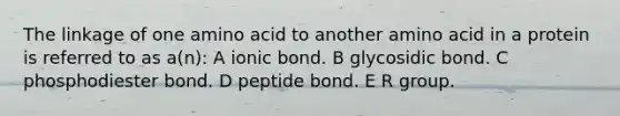 The linkage of one amino acid to another amino acid in a protein is referred to as a(n): A ionic bond. B glycosidic bond. C phosphodiester bond. D peptide bond. E R group.