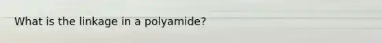 What is the linkage in a polyamide?