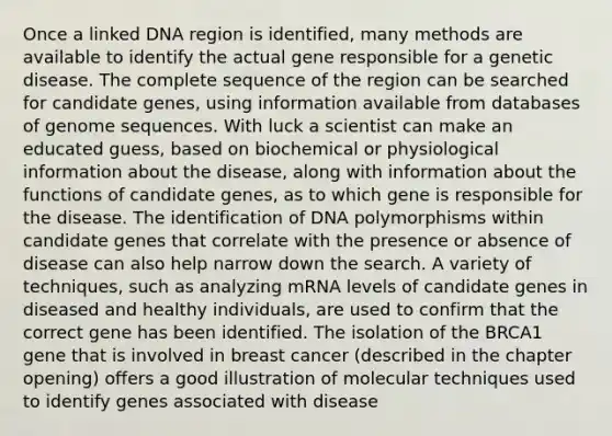 Once a linked DNA region is identified, many methods are available to identify the actual gene responsible for a genetic disease. The complete sequence of the region can be searched for candidate genes, using information available from databases of genome sequences. With luck a scientist can make an educated guess, based on biochemical or physiological information about the disease, along with information about the functions of candidate genes, as to which gene is responsible for the disease. The identification of DNA polymorphisms within candidate genes that correlate with the presence or absence of disease can also help narrow down the search. A variety of techniques, such as analyzing mRNA levels of candidate genes in diseased and healthy individuals, are used to confirm that the correct gene has been identified. The isolation of the BRCA1 gene that is involved in breast cancer (described in the chapter opening) offers a good illustration of molecular techniques used to identify genes associated with disease