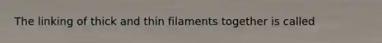 The linking of thick and thin filaments together is called