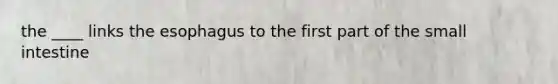 the ____ links the esophagus to the first part of the small intestine