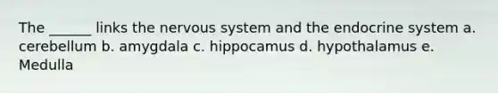 The ______ links the nervous system and the endocrine system a. cerebellum b. amygdala c. hippocamus d. hypothalamus e. Medulla