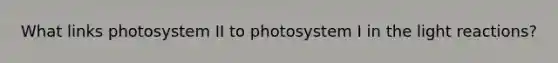 What links photosystem II to photosystem I in the <a href='https://www.questionai.com/knowledge/kSUoWrrvoC-light-reactions' class='anchor-knowledge'>light reactions</a>?