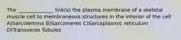 The ______________ link(s) the plasma membrane of a skeletal muscle cell to membraneous structures in the interior of the cell A)Sarcolemma B)Sarcomeres C)Sarcoplasmic reticulum D)Transverse Tubules