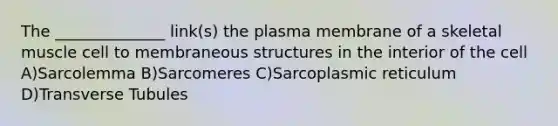 The ______________ link(s) the plasma membrane of a skeletal muscle cell to membraneous structures in the interior of the cell A)Sarcolemma B)Sarcomeres C)Sarcoplasmic reticulum D)Transverse Tubules