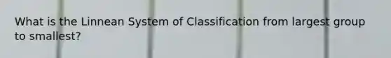 What is the Linnean System of Classification from largest group to smallest?