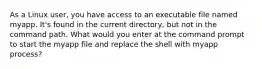 As a Linux user, you have access to an executable file named myapp. It's found in the current directory, but not in the command path. What would you enter at the command prompt to start the myapp file and replace the shell with myapp process?