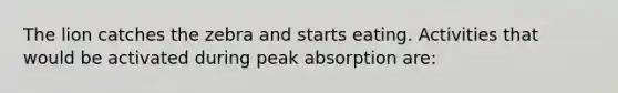 The lion catches the zebra and starts eating. Activities that would be activated during peak absorption are: